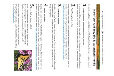 Make Your Yard Bee, Bird & Watershed Friendly