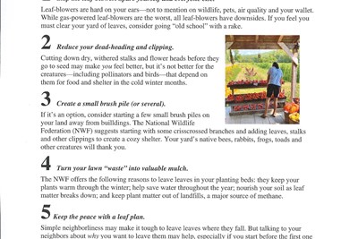 Buckingham Township EAC offers Fall Tips for Your Yard