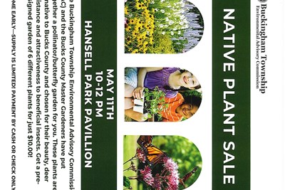 Native Plant Sale - May 11, 2024