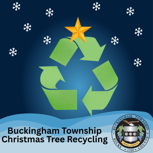 Recycle Your Christmas Trees!