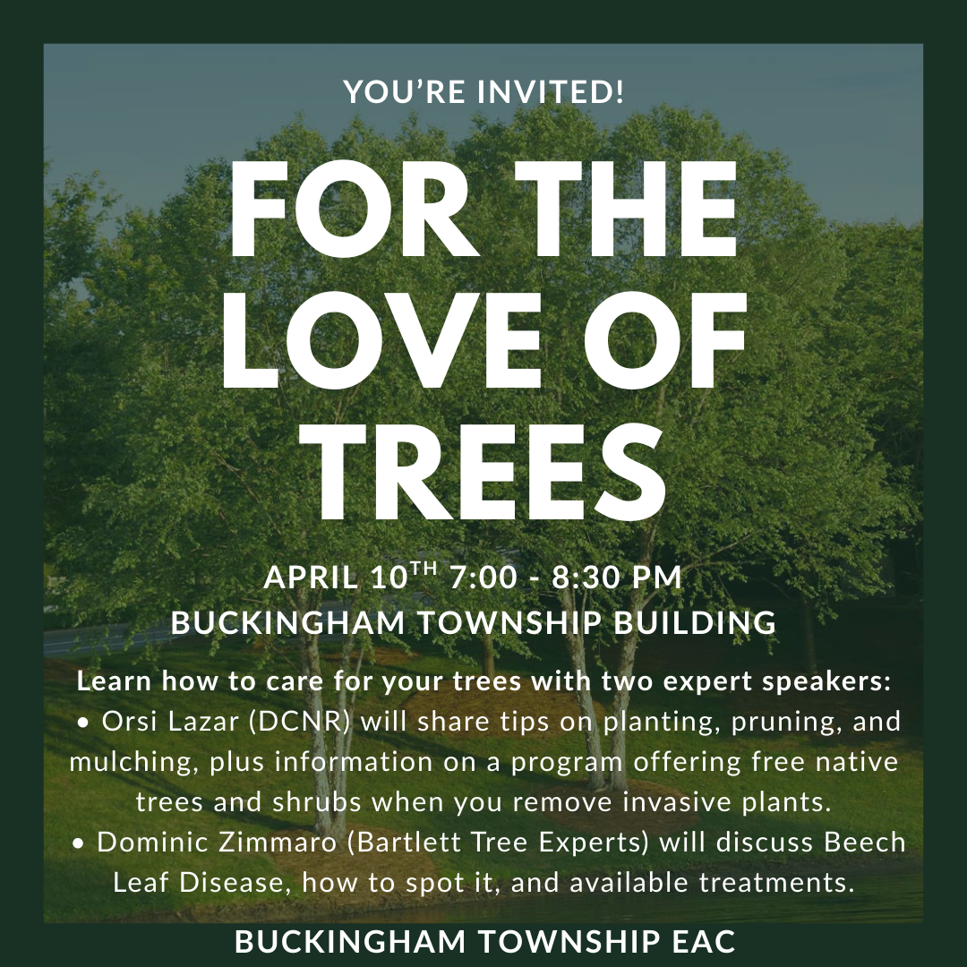 For the Love of Trees- How to keep your trees alive Hosted by the Buckingham Township EAC