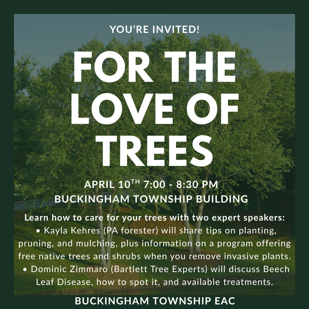 For the Love of Trees- How to keep your trees alive Hosted by the Buckingham Township EAC