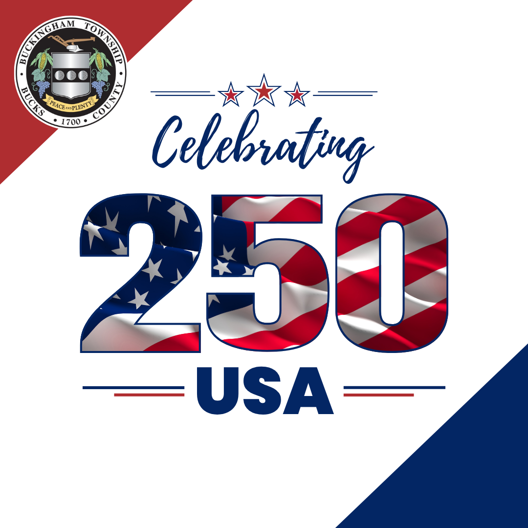 Celebrate Safely This Independence Day and America 250